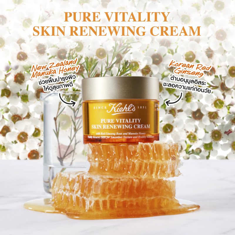 Kiehl's, Kiehl's Pure Vitality Skin Renewing Cream, Kiehl's Pure Vitality Skin Renewing Cream รีวิว, Kiehl's Pure Vitality Skin Renewing Cream ราคา, Kiehl's Pure Vitality Skin Renewing Cream pantip, Kiehl's Pure Vitality Skin Renewing Cream ดีไหม, Pure Vitality Skin Renewing Cream, Kiehl's Pure Vitality Skin Renewing Cream 50ml